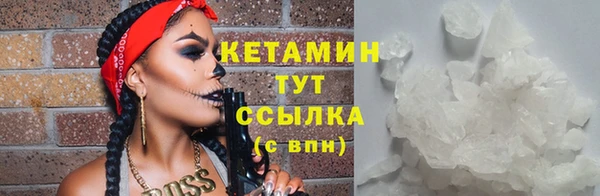 шишки Абаза
