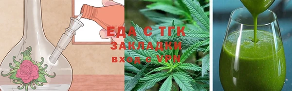 шишки Абаза