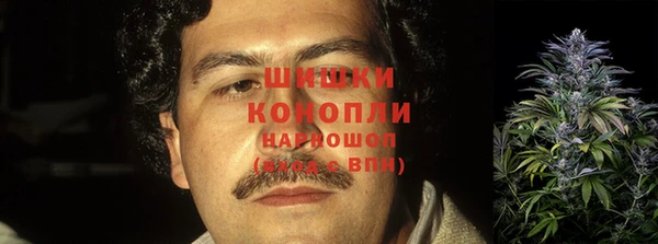 индика Новодвинск