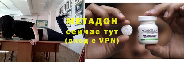 шишки Абаза