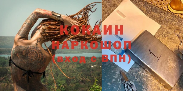 шишки Абаза