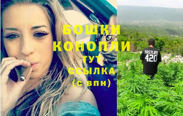 шишки Абаза