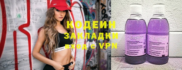 шишки Абаза