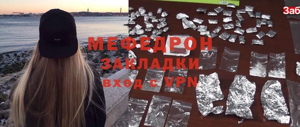 индика Новодвинск