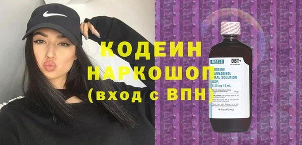 шишки Абаза