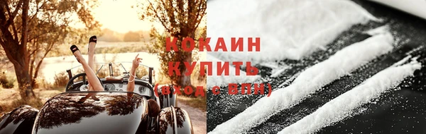 индика Новодвинск