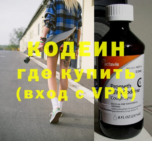 шишки Абаза
