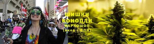 шишки Абаза