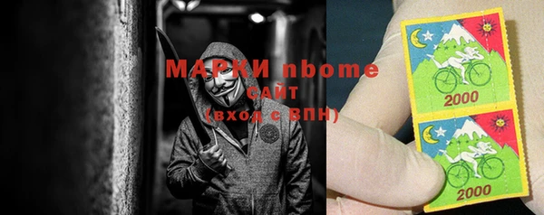 шишки Абаза