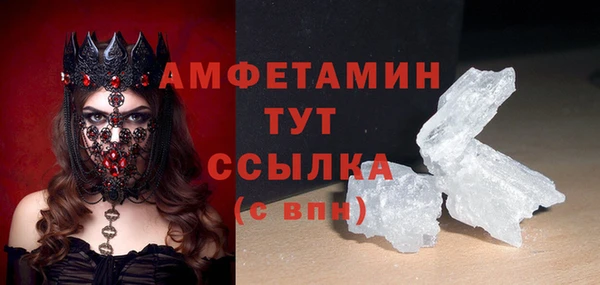 шишки Абаза
