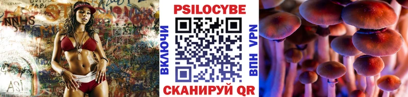 Псилоцибиновые грибы MAGIC MUSHROOMS  Сычёвка 